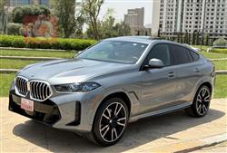 بي ام دبليو X6